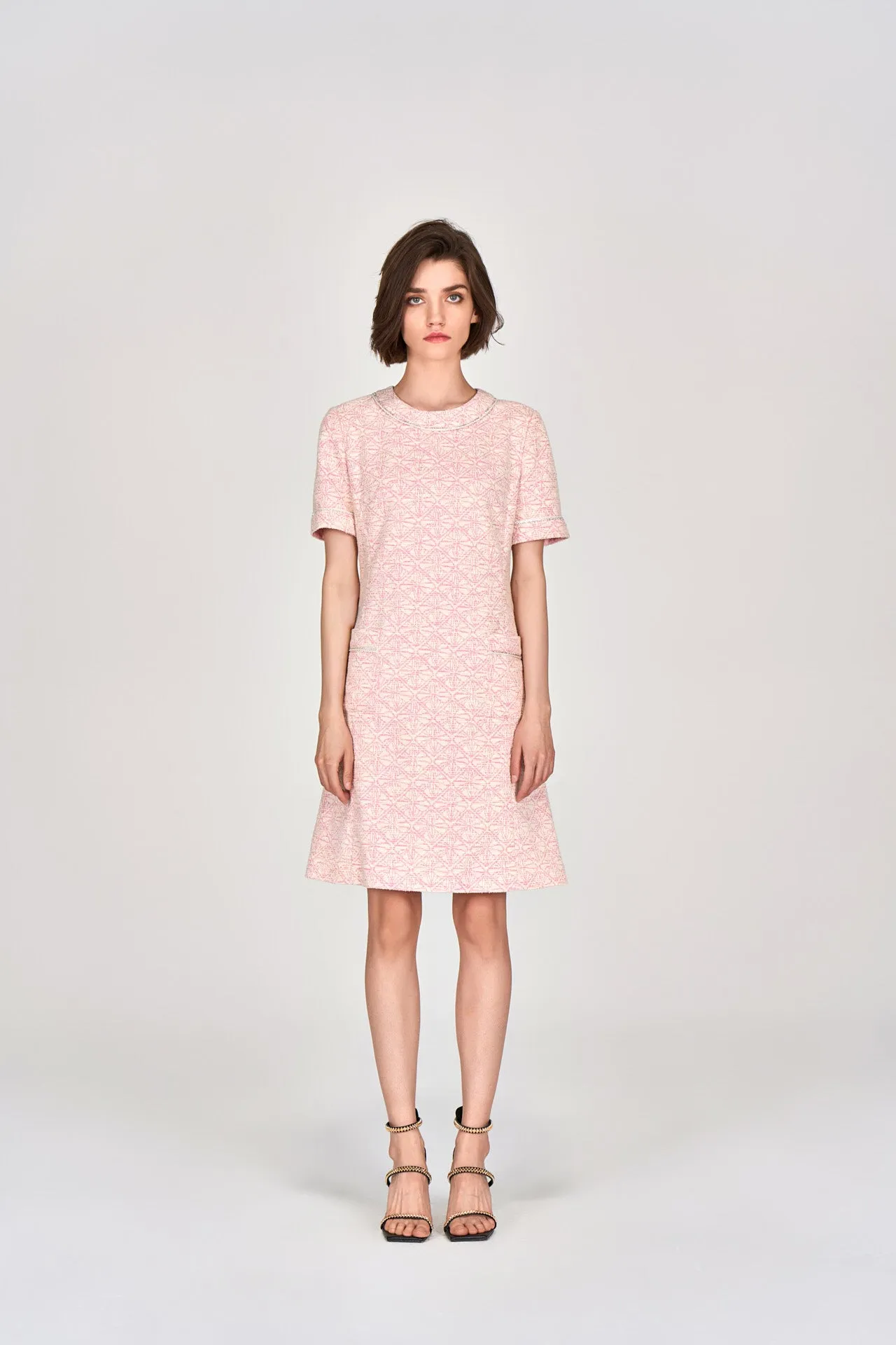 Digitized Pink Tweed Dress