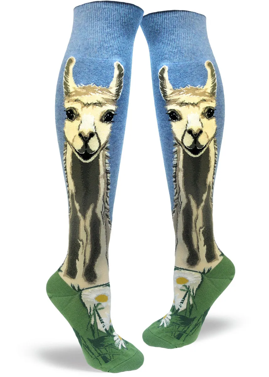 Llovely Llama Roll-Top Knee Socks