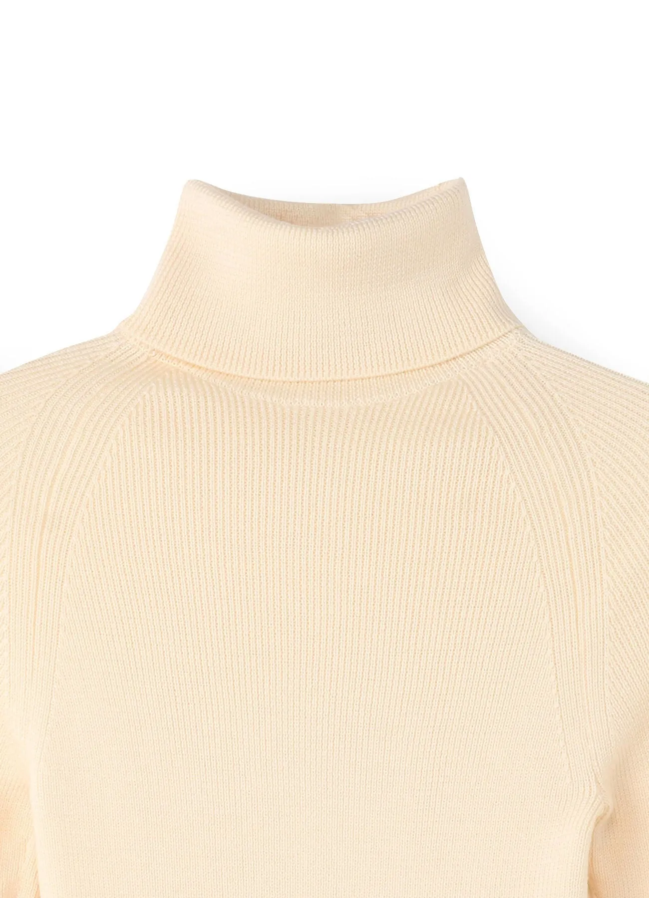 Standard W/Washable Plain Stitch Short Turtle Knitwear